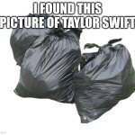Swifties be wildin | I FOUND THIS PICTURE OF TAYLOR SWIFT | image tagged in trash bags,taylor swift,fun,memes,white trash,cats | made w/ Imgflip meme maker