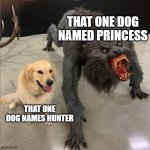 Fr dough. | THAT ONE DOG NAMED PRINCESS; THAT ONE DOG NAMES HUNTER | image tagged in dog vs werewolf | made w/ Imgflip meme maker