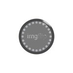 Imgflip coin template