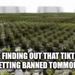 No More Cringe | ME FINDING OUT THAT TIKTOK IS GETTING BANNED TOMMOROW | image tagged in gifs,tiktok sucks | made w/ Imgflip video-to-gif maker