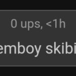 femboy skibidi rizzler