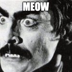 deafula | MEOW | image tagged in deafula | made w/ Imgflip meme maker
