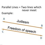 *Someone Coughs in Front of a Jew* "aNtIsEmItIc hAtE sPeEcH wOrSe tHaN mUrDeR!!!" | Judiesm; Freedom of speech | image tagged in two lines that never meet,judaism,jews,freedom of speech,hate speech,anti-semitism | made w/ Imgflip meme maker