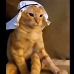 arabic cat template