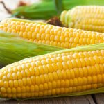 corn