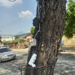 Gambiarra