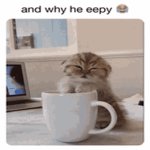 and why he eepy