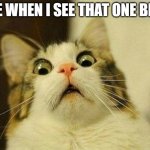 Real | ME WHEN I SEE THAT ONE BRO | image tagged in funny,fun | made w/ Imgflip meme maker