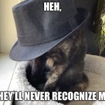 Mysterious Kitteh | HEH, THEY’LL NEVER RECOGNIZE ME. | image tagged in mysterious kitteh | made w/ Imgflip meme maker