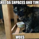 Dumb cat | I SHEE DA SHPACES AND TIMES; WOES | image tagged in dumb cat | made w/ Imgflip meme maker