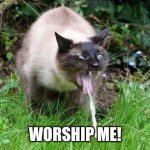 Cat Barfing | WORSHIP ME! | image tagged in cat barfing,worship,worship the lord,cats | made w/ Imgflip meme maker