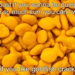 goldfish meme