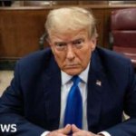 trump contemplating