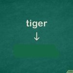 Tiger > x template