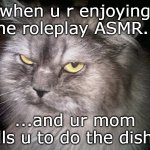 fun fact: she calls ONLY when u hv headphones on | when u r enjoying the roleplay ASMR... ...and ur mom calls u to do the dishes | image tagged in irritated cat | made w/ Imgflip meme maker