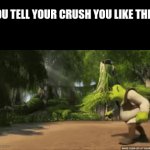quality title | YOU TELL YOUR CRUSH YOU LIKE THEM; THEY SAY THEY LIKE SOMEONE ELSE/DON'T LIKE YOU: | image tagged in gifs,when your crush,memes | made w/ Imgflip video-to-gif maker