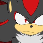 shadow the hedgehog