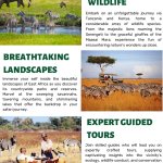 Wildlife Safaris Tour Tanzania And Kenya