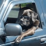 Need a ride?