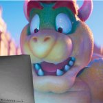 Bowser Looking on Computer.