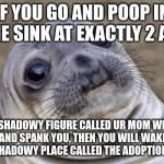 LOL | IF YOU GO AND POOP IN THE SINK AT EXACTLY 2 AM; A SHADOWY FIGURE CALLED UR MOM WILL COME AND SPANK YOU, THEN YOU WILL WAKE UP IN A VERY SHADOWY PLACE CALLED THE ADOPTION CENTER | image tagged in memes,awkward moment sealion | made w/ Imgflip meme maker