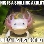 for people with rough days | THIS IS A SMILLING AXOLOTL; YOUR DAY HAS JUST GOT BETTER | image tagged in axolotl | made w/ Imgflip meme maker