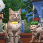 Angry Sims 4 Trailer Cat meme
