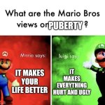 It sucks | PUBERTY; IT MAKES YOUR LIFE BETTER; IT MAKES EVERYTHING HURT AND UGLY | image tagged in mario bros views,puberty | made w/ Imgflip meme maker