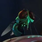 Fly (Figaro Pho)