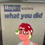 Moyley knows what you did meme