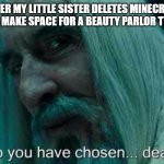 So you have chosen death | ME AFTER MY LITTLE SISTER DELETES MINECRAFT ON MY PHONE TO MAKE SPACE FOR A BEAUTY PARLOR TYCOON GAME: | image tagged in so you have chosen death | made w/ Imgflip meme maker