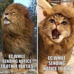 Current politics in India | EC WHILE SENDING NOTICE TO BJP; EC WHILE SENDING NOTICE TO OTHER PARTIES | image tagged in lion-cat | made w/ Imgflip meme maker