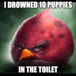 Realistic Angry Bird (big red) | I DROWNED 10 PUPPIES; IN THE TOILET | image tagged in realistic angry bird big red | made w/ Imgflip meme maker
