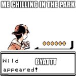Blank Wild Pokemon Appears | ME CHILLING IN THE PARK; GYATTT | image tagged in blank wild pokemon appears | made w/ Imgflip meme maker