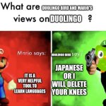 what are duolingo bird and mario's views on ? meme