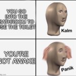 If you know you know... | YOU GO INTO THE BATHROOM TO USE THE TOILET; YOU'RE NOT AWAKE | image tagged in kalm panik,toilet | made w/ Imgflip meme maker