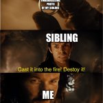 Siblings be like | EMBARRASSING PHOTO OF MY SIBLING; SIBLING; ME | image tagged in cast it into the fire | made w/ Imgflip meme maker