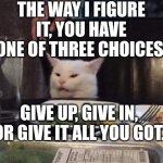 Smudge that darn cat | THE WAY I FIGURE IT, YOU HAVE ONE OF THREE CHOICES. GIVE UP, GIVE IN, OR GIVE IT ALL YOU GOT. | image tagged in smudge that darn cat | made w/ Imgflip meme maker