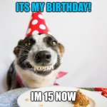wish me by upvoting... | ITS MY BIRTHDAY! IM 15 NOW | image tagged in memes,funny,birthday,happy birthday | made w/ Imgflip meme maker