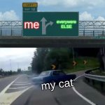 Left Exit 12 Off Ramp | me; everywere ELSE; my cat | image tagged in memes,left exit 12 off ramp | made w/ Imgflip meme maker