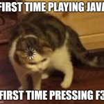 I need my brother to teach me what all that suff means | FIRST TIME PLAYING JAVA; FIRST TIME PRESSING F3 | image tagged in loading cat | made w/ Imgflip meme maker