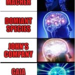 board game ranks | DIE MACHER; DOMIANT SPECIES; JOHN'S COMPANY; GAIA PROJECT | image tagged in memes,expanding brain | made w/ Imgflip meme maker