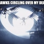 The Hawks | POV: THE HAWKS CIRCLING OVER MY DEAD CORPSE | image tagged in disassembly drones | made w/ Imgflip meme maker