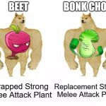Beet VS Bonk Choy | BEET; BONK CHOY; Scrapped Strong Melee Attack Plant; Replacement Strong Melee Attack Plant | image tagged in beet vs bonk choy | made w/ Imgflip meme maker