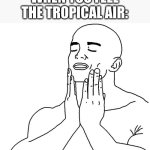 Satisfaction | WHEN YOU FEEL THE TROPICAL AIR: | image tagged in satisfaction,memes | made w/ Imgflip meme maker
