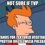 Not sure if- fry | NOT SURE IF TVP; STANDS FOR TEXTURED VEGETABLE PROTEIN OR TELEWIZJA POLSKA | image tagged in not sure if- fry,memes,poland,tv,channel | made w/ Imgflip meme maker