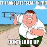 Dont Look Up// Worst Mistake of My Life | DON'T TRANSLATE "SEAL" IN FRENCH; DON'T LOOK UP | image tagged in dont look up// worst mistake of my life | made w/ Imgflip meme maker