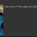 look at this fuckin rabbit tho LMFAOOOOOO meme
