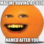 Bro think he an orange | IMAGINE HAVING A COLOR; NAMED AFTER YOU | image tagged in annoying orange | made w/ Imgflip meme maker