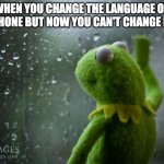 kermit window | WHEN YOU CHANGE THE LANGUAGE ON YOUR PHONE BUT NOW YOU CAN'T CHANGE IT BACK | image tagged in kermit window | made w/ Imgflip meme maker
